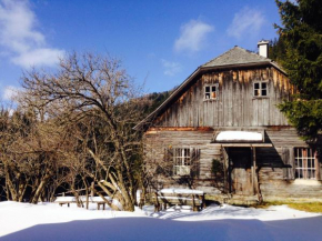 Отель Almhütte Waldbauer, Райхенфельс